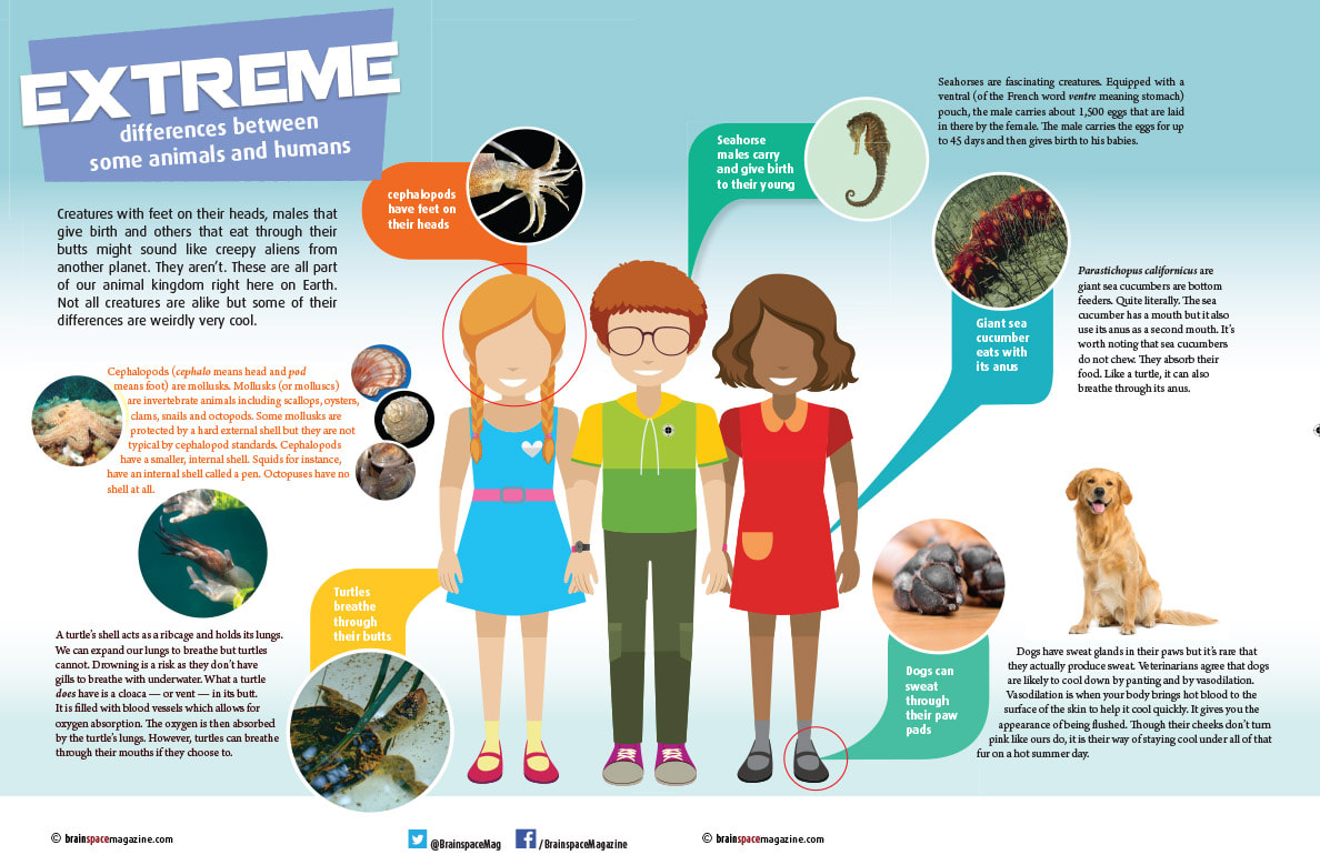 Zoology – Extreme differences between some animals and humans : Brainspace  Magazine – Interactive & Educational